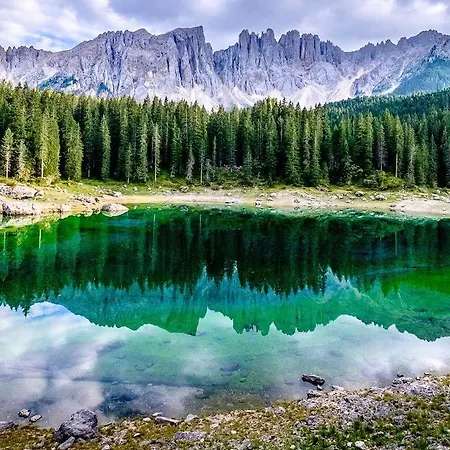 Family Ski-in Ski-out Bed & Breakfast